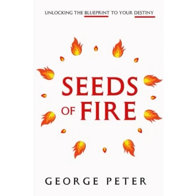 Abbildung von Seeds of Fire: Unlocking the Blueprint to Your Destiny