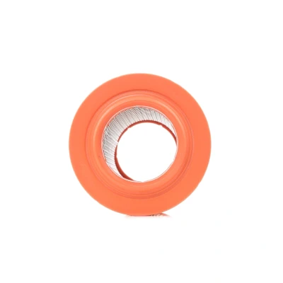 Abbildung von FEBI BILSTEIN 22611 Luftfilter 160,5 287,5 Filtereinsatz FIAT: Ducato II Pritsche/Fahrgestell, Bus, Kastenwagen