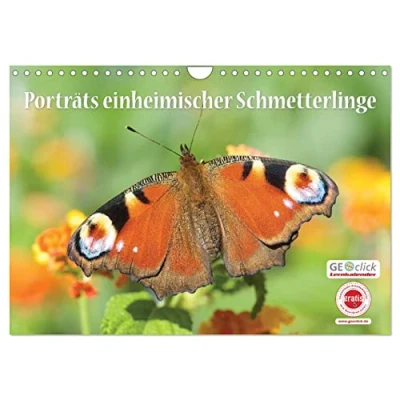 Abbildung von GEOclick Lernkalender: Porträts einheimischer Schmetterlinge (Wandkalender 2025 DIN A4 quer), CALVENDO Monatskalender