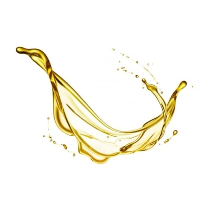 Abbildung von Macadamianussöl kaltgepresst, 100ml von Dragonspice Naturwaren,