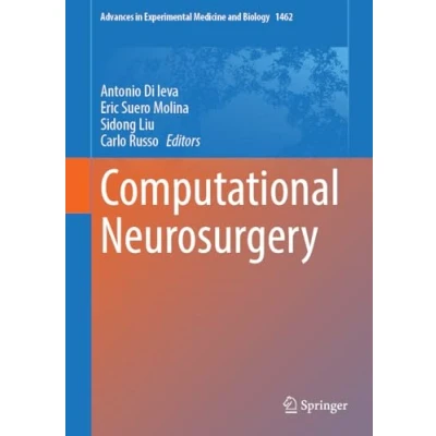 Abbildung von Computational Neurosurgery (Advances in Experimental Medicine and Biology, 1462, Band 1462)