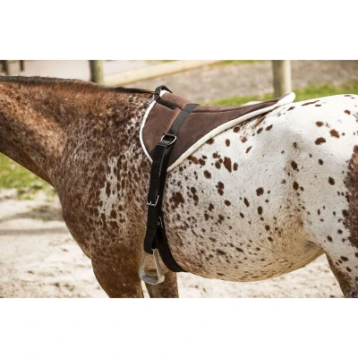 Abbildung von Norton Bareback Pad Softshell Lederbesatz Braun/Beige