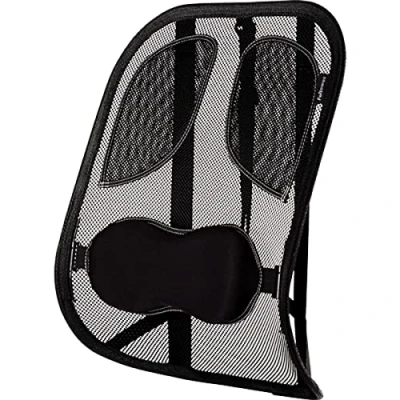 Abbildung von Fellowes 8029901 Netz Rückenstütze Professional Series mit eingearbeiteten Polstern, Graphit