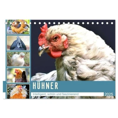 Abbildung von Hühner. Intelligent, schön und faszinierend (Tischkalender 2025 DIN A5 quer), CALVENDO Monatskalender