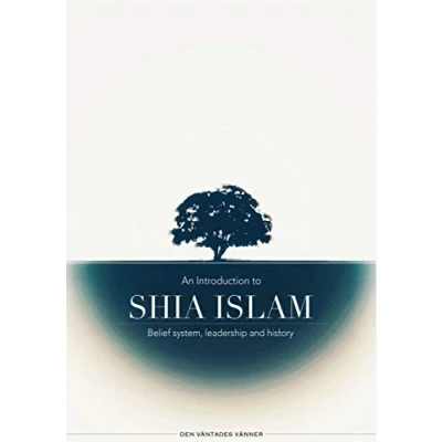 Abbildung von An Introduction to Shia Islam: Belief system, leadership and history