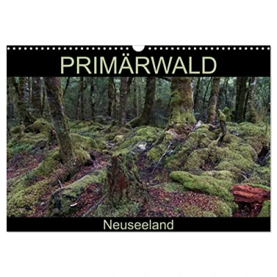 Abbildung von Primärwald Neuseeland (Wandkalender 2025 DIN A3 quer), CALVENDO Monatskalender