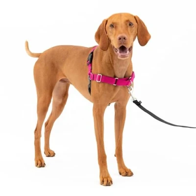 Abbildung von PetSafe Easy Walk Geschirr, Anti Zieh Hundegeschirr, Verringert Würgen und Husten, Mit 1,8 M Leine, Größe M, Rosa