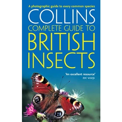 Abbildung von British Insects: A photographic guide to every common species (Collins Complete Guide)
