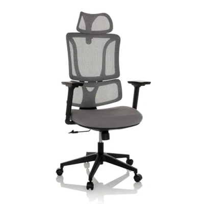 Abbildung von MyBuero Drehstuhl ergonomisch ERGOMY Bürostuhl mit Verstellbarer Lordosenstütze, Kopfstütze, Armlehnen, Netz Rückenlehne, Stoff Grau