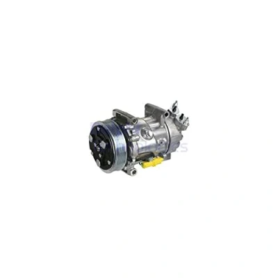 Abbildung von DELPHI TSP0159851 Kompressor Sanden SD6V12 PAG 46 mit Kompressoröl PEUGEOT: 307 Schrägheck, 206 Bipper Kastenwagen