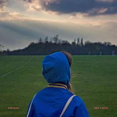Abbildung von What a Boost [Vinyl LP]