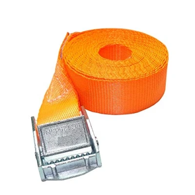 Abbildung von ZurrTec 10 x 250 kg daN 2m Profi Spanngurte mit Klemmschloss 25mm Spannriemen Befestigungsriemen DIN EN 12195 2 (Orange)