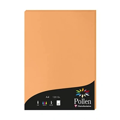 Abbildung von Clairefontaine 4208C Packung mit 50 Karten Pollen 120g, DIN A4, 21 x 29,7cm, Clementine