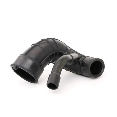 Abbildung von SASIC 3330001 Ansaugschlauch, Luftfilter Eingang FORD: FIESTA 5, Fusion Kombi, 6, PEUGEOT: 206 Schrägheck, SW, 307 Schrägheck