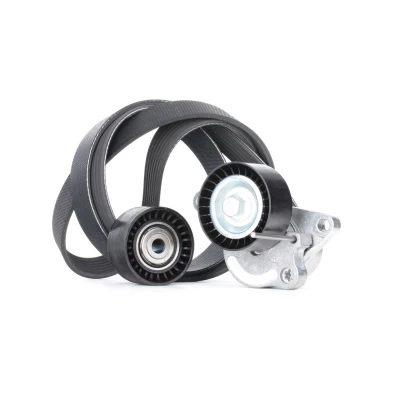 Abbildung von GATES K017PK1705 Keilrippenriemensatz ThermalPro RENAULT: GRAND SCENIC 3, Koleos I, NISSAN: X Trail, Qashqai / Qashqai+2 I
