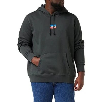 Abbildung von Levis Hoodie &quot;STANDARD GRAPHIC HOOD&quot;, mit Logoprint