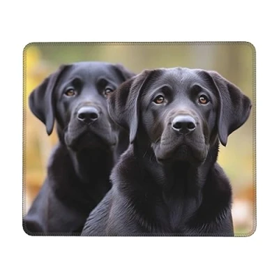 Abbildung von Mauspad mit Labrador Retriever Motiv, bedruckt, genähtem Rand, wasserdicht, rutschfest, Gummiunterseite, quadratisches für Computer, Laptop, kabellose Maus, Büro Mauspads, Gaming