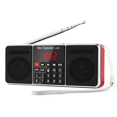 Abbildung von PRUNUS J 288 Tragbar AM(MW) UKW FM Bluetooth USB SD TF Radio MP3 mit Doppelmagnet Lautsprechern Stereo Sound AUX und Sleep Timer Funktion
