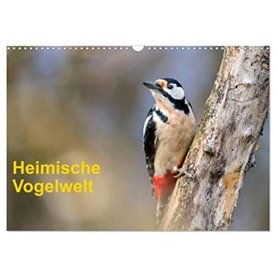 Abbildung von Heimische Vogelwelt (Wandkalender 2025 DIN A3 quer), CALVENDO Monatskalender