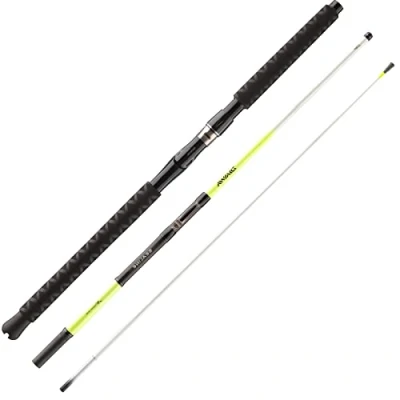 Abbildung von Daiwa Seal. Xt. Itl Tr 2.13m 30 40l Meeresrute