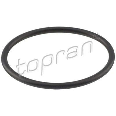 Abbildung von TOPRAN 113 298 Dichtung, Thermostat VOLKSWAGEN: Polo IV Schrägheck, Golf 5 V AUDI: A3 Sportback
