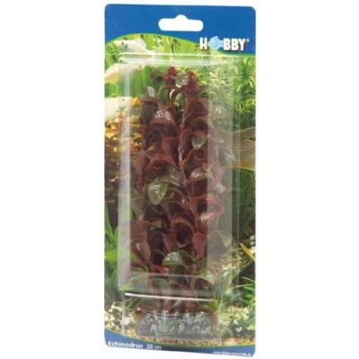 Abbildung von Dohse Rotala, 16 cm