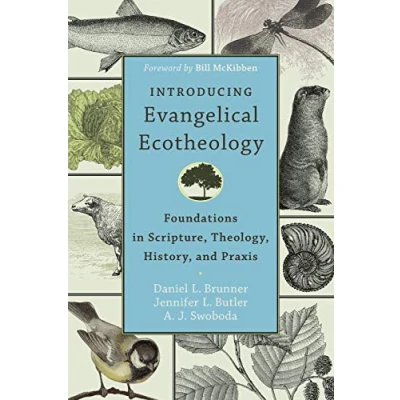 Abbildung von Introducing Evangelical Ecotheology: Foundations in Scripture, Theology, History, and PRAXIS