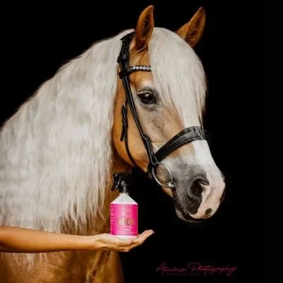 Abbildung von HOOFGOLD WOOW Schweif &amp; Mähnenspray für Pferde, 2500 ml, milde Pflege, löst Verknotungen, leichte Kämmbarkeit, Volumen Glanz mit dem Effekt