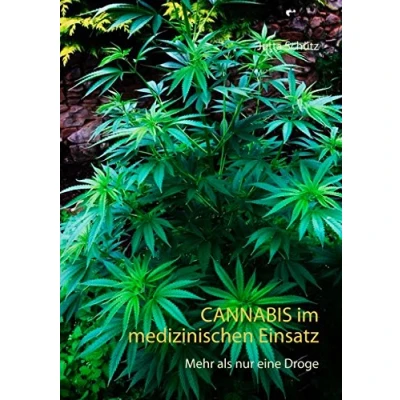 Abbildung von Cannabis im medizinischen Einsatz: Mehr als nur eine Droge
