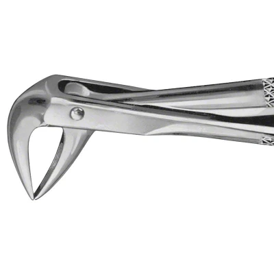 Abbildung von ANATOMICA Zahnzange Figur 74 UK Wurzeln
