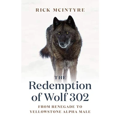 Abbildung von The Redemption of Wolf 302: From Renegade to Yellowstone Alpha Male (The Wolves Yellowstone, 3)