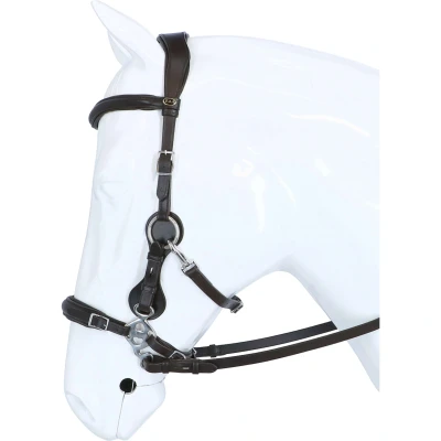 Abbildung von F.R.A. Hackamore Calli Stud Hook Lederen Zügel Havanna Vollblut