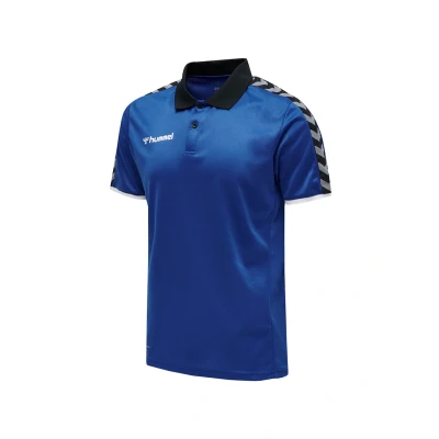 Abbildung von Hummel Fussballauthentic Functional Poloshirt, Herren, Größe: Small, Blau