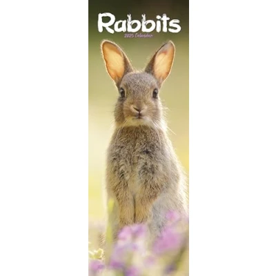 Abbildung von Rabbits Kaninchen 2025: Original Avonside Kalender Slimline [Mehrsprachig] [Kalender] (Slimline Kalender)