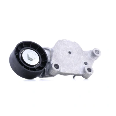 Abbildung von SNR GA359.00 Spannrolle FORD: Focus 2 Kombi, FIESTA 5, 6, PEUGEOT: 307 SW, 206 Schrägheck, 207 MAZDA: 3 Hatchback, Limousine