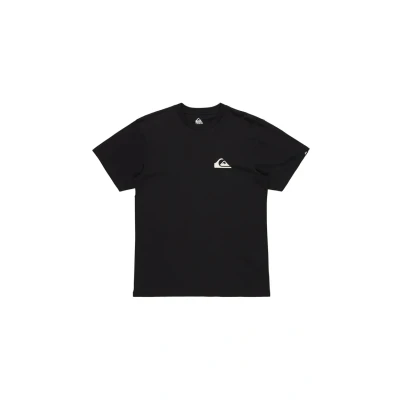 Abbildung von Quiksilver EV MINI LOGO Tshirt basic, Herren, Größe: XS, Kvj