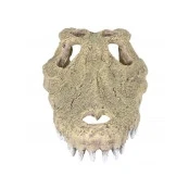 Abbildung von Aqua Della Krokodil Schdel Aquarium Ornament 28.5x14.5x8 cm...