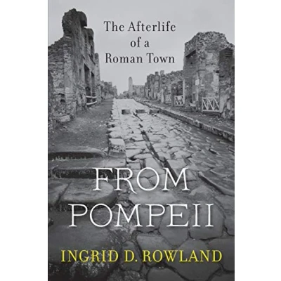 Abbildung von From Pompeii: The Afterlife of a Roman Town