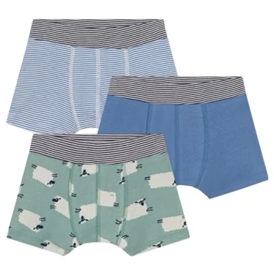 Abbildung von Petit Bateau Junior 3 PACK Panties multicoloured für Kinder, Größe: 95, Multi coloured