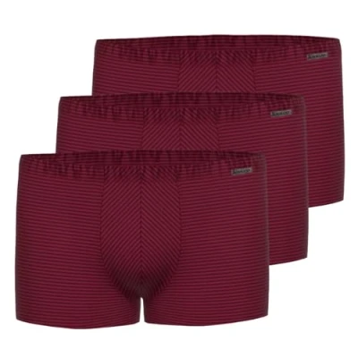Abbildung von Ammann Retro 3ER PACK Panties, Herren, Größe: Medium, Bordeaux