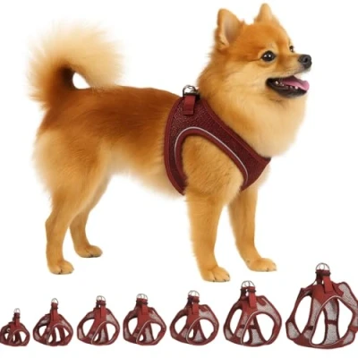 Abbildung von Flamingo Step Go Bento Geschirr Aubergine, S (A:30 35 cm, B:37 40 3 mm), Komfortabel und Verstellbar, Ideal für Jack Russell Terrier, Französische Bulldogge, Zwergschnauzer, Mops usw.