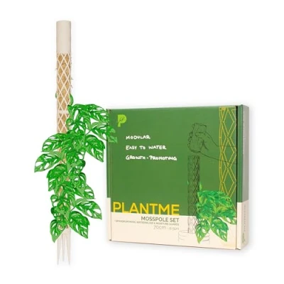 Abbildung von PlantMe Moosstab Midi Set Rankhilfe Zimmerpflanze Rankhilfen für Kletterpflanzen, Monstera, Efeutute, Moosstab, Pflanzenstütze, Moss Pole, Kletterhilfe Zimmerpflanzen, Philodendron (weiß, 70cm)