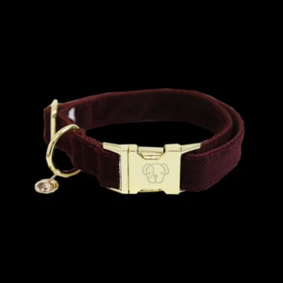 Abbildung von Kentucky Kragen Corduroy Bordeaux 42 68cm