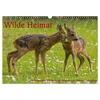 Abbildung von Wilde Heimat (Wandkalender 2025 DIN A3 quer), CALVENDO Monatskalender