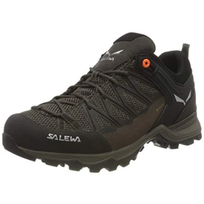 Abbildung von Salewa Mtn Trainer Lite GTX Men Zustiegsschuhe