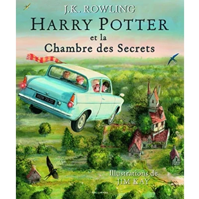 Abbildung von Harry Potter et la chambre des sercets, illustre par Jim Kay