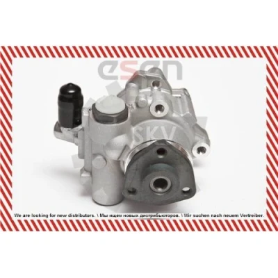 Abbildung von Original NM Germany Hydraulikpumpe Lenkung Servolenkungspumpe Servopumpe Neu 10SKV043