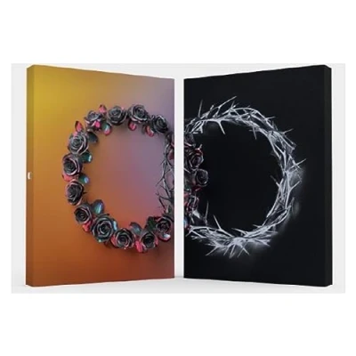 Abbildung von Dual Deluxe Edition Dusk Version Inkl. Photo
