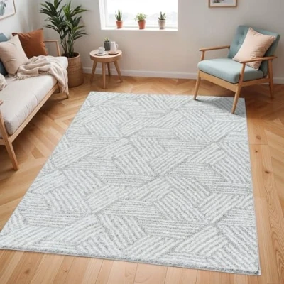 Abbildung von Surya Hochflor Teppich &quot;CDG2320&quot;, rechteckig