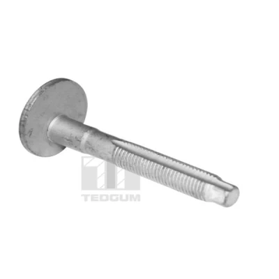 Abbildung von TEDGUM TED39597 Sturzkorrekturschraube M12x1.5 VOLKSWAGEN: Touran I, Passat B6 Variant, Golf 7 Schrägheck, SKODA: Octavia 3 Combi, 2 Combi